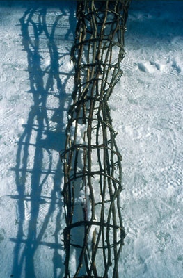 saplings bound together to form a cylinder