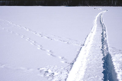 path through snow to boat in distance