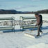 tryptych of sculptures on frozen lake including a variety of natural materials