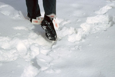 ice skates with hand made labels attached