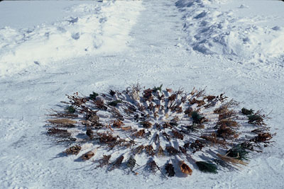 circular form at the centre of the installation made up of plant materials