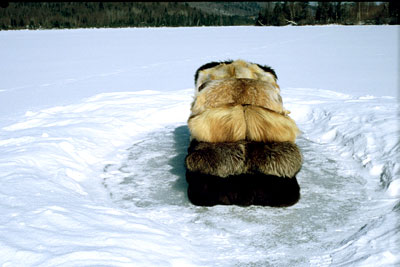 pile of animal skins on snow