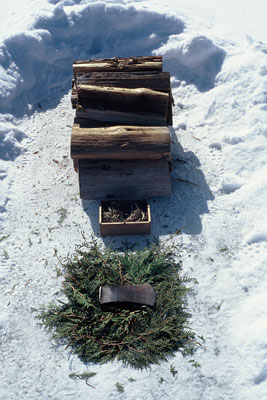 pile of logs and an axe head on a pile of pine branches