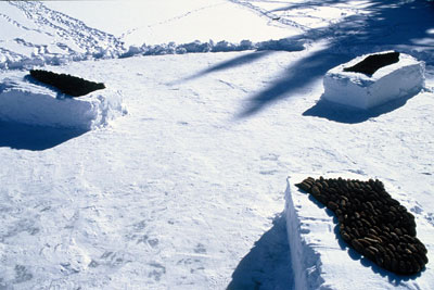 tryptych of sculptures on frozen lake including a variety of natural materials