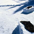 pine cones on beds made of snow