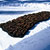 pine cones arranged on bed of snow