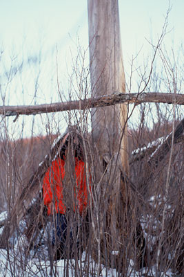 tourangeau hidden behind network of branches