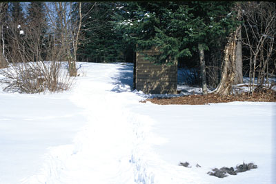 Marcheurs Des Bois documentation